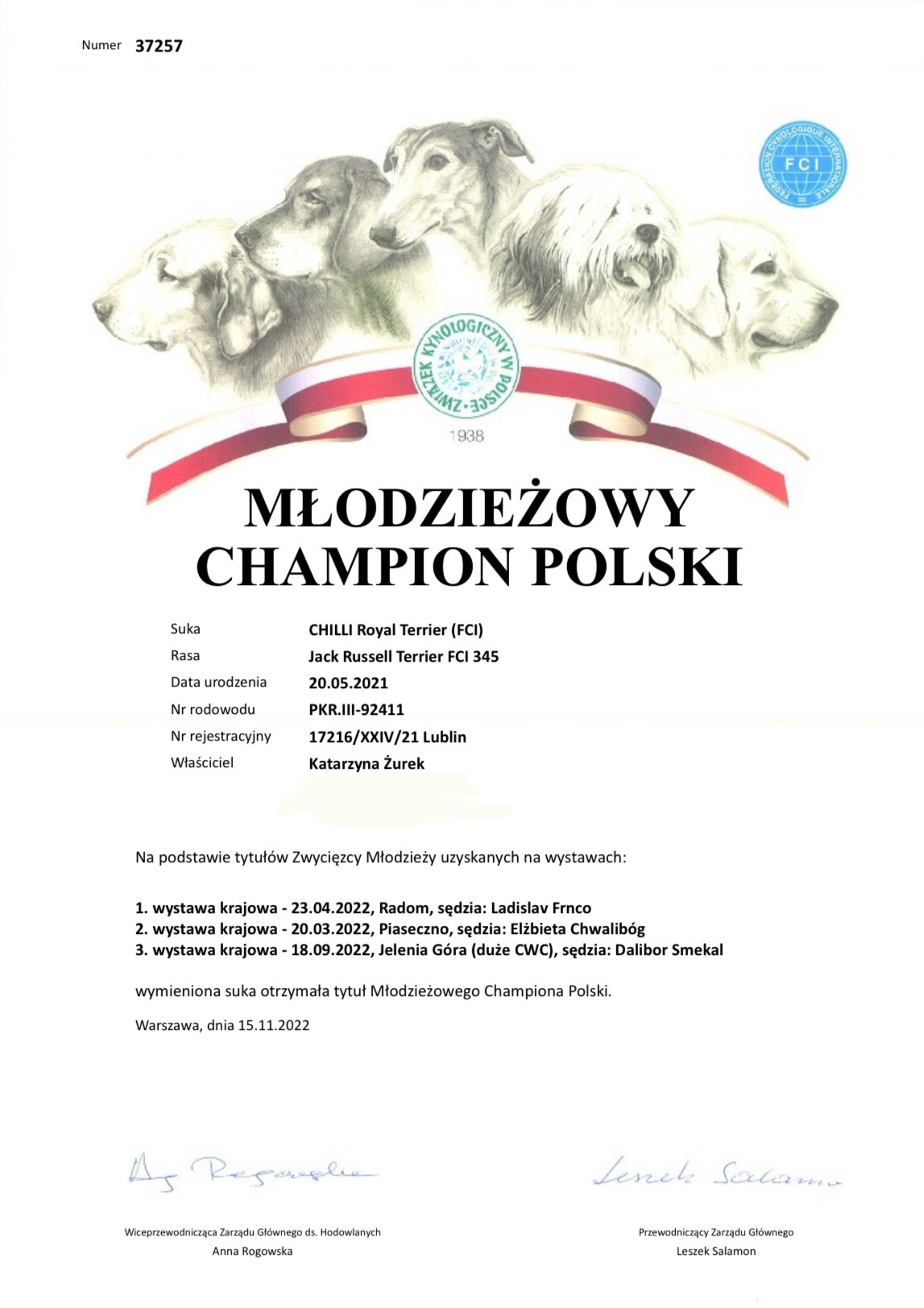 jack russell terrier