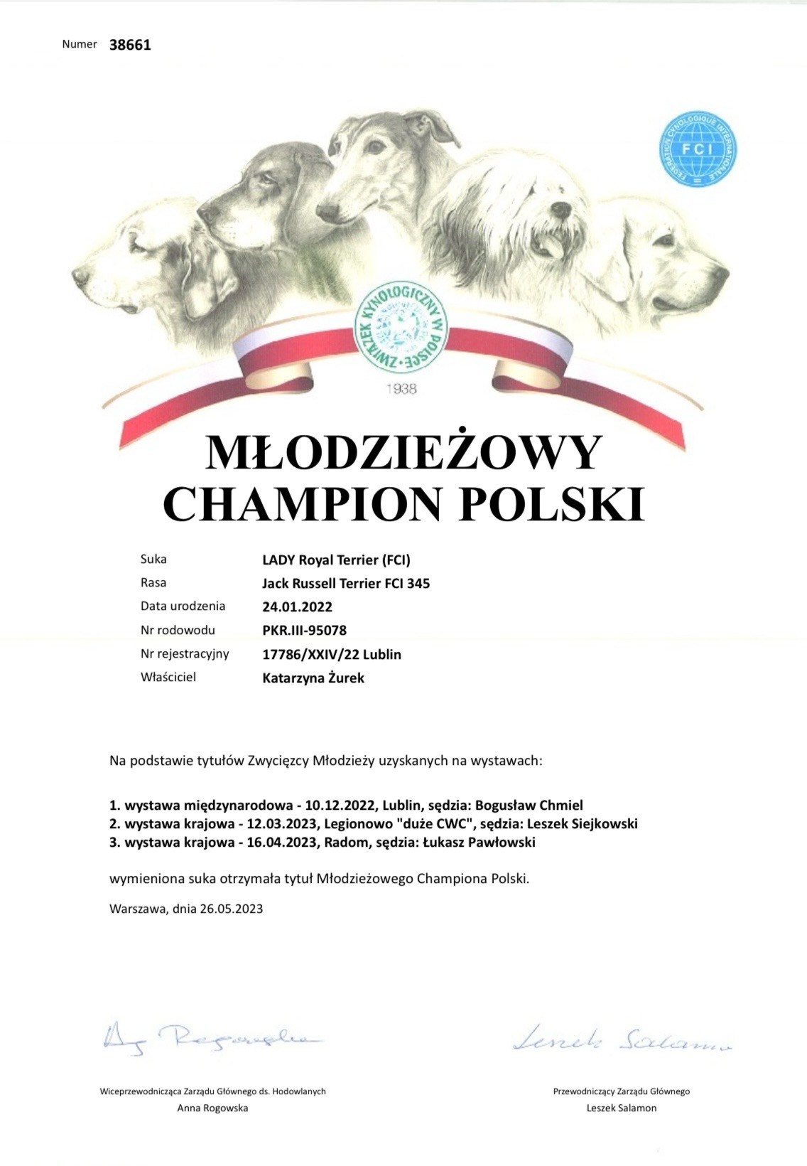 jack russell terrier